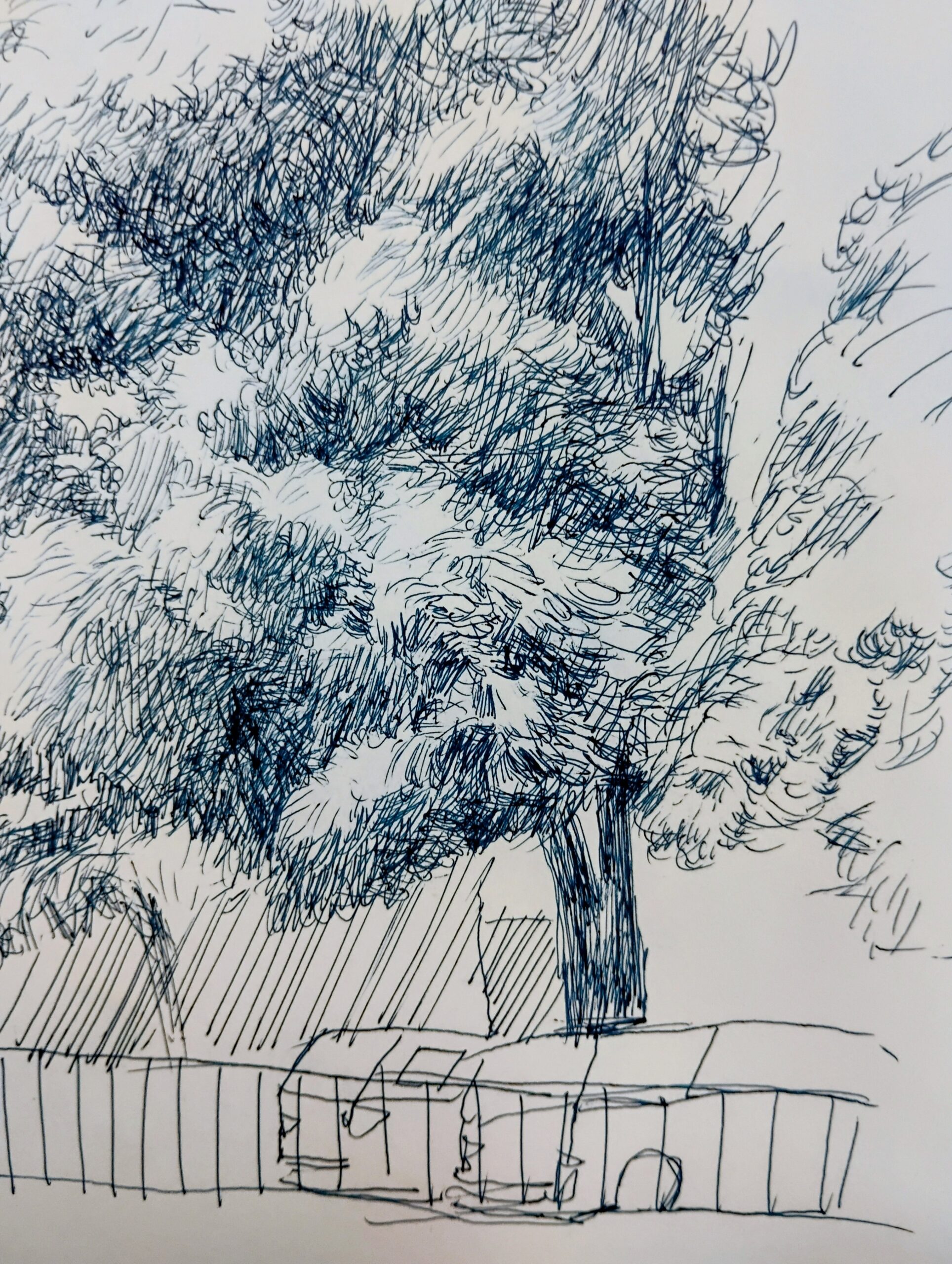 pen and ink nature pen and ink nature